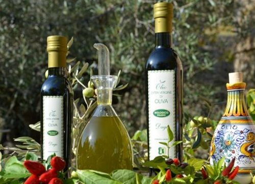 Gastronomia in Umbria: L’olio extravergine di oliva.