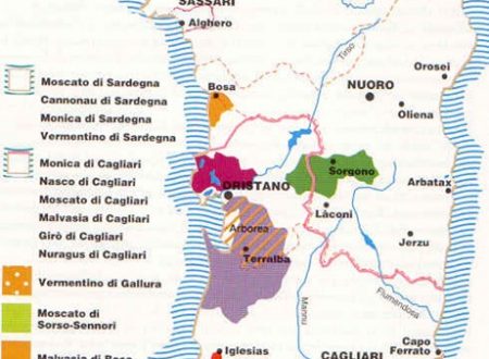 L’isola della Sardegna è la terra che presenta una delle vitivinicolture più antiche.